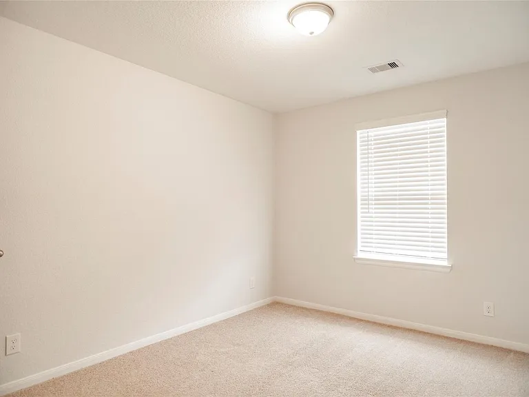 208 Cambria Green Ln — Photo 11