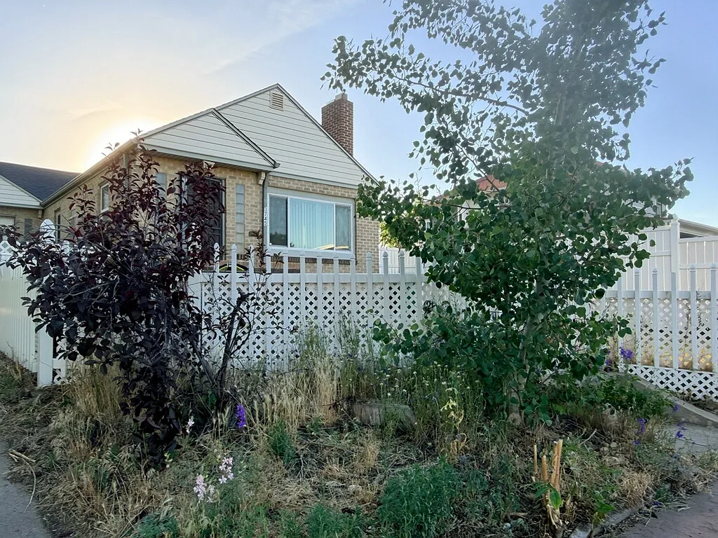 3745 Wolff St — Photo 2