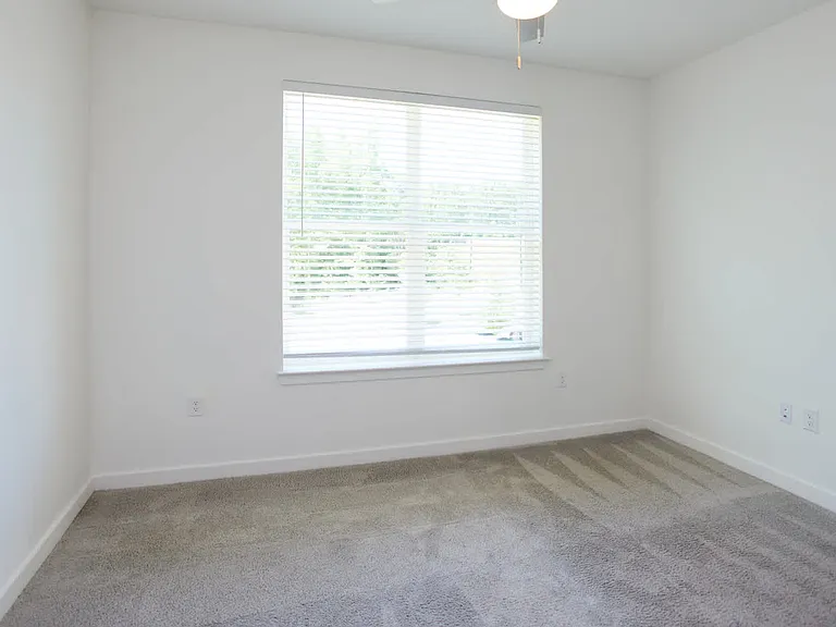 Carpeted Bedroom