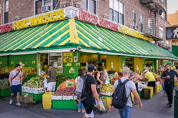 Rented by MNS | media 10