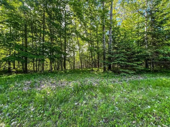 TRACT Damsgaard Rd #D, Deerwood, MN 56444