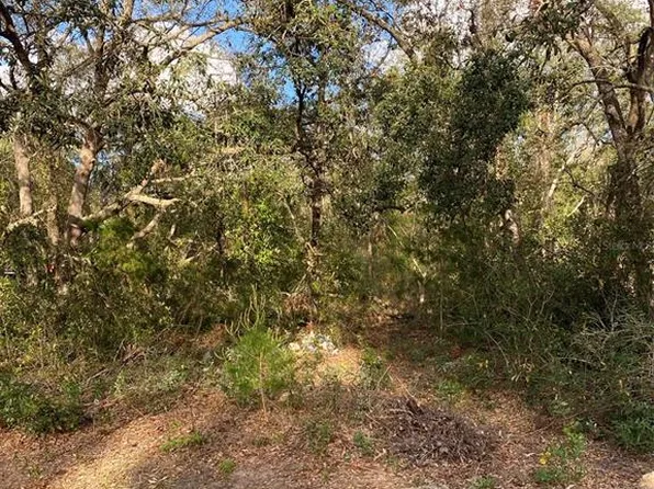 Dogwood Way #20, Lady Lake, FL 32159