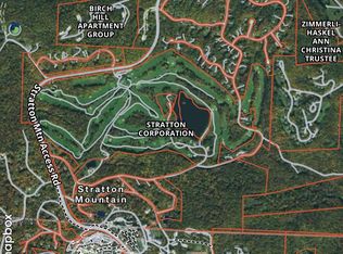 84 Lower Taylor Hill Rd, Bondville, VT 05340