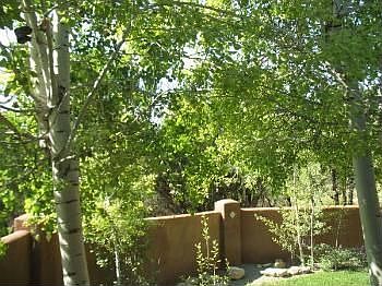 4th image of 25 Calle Vallecitos