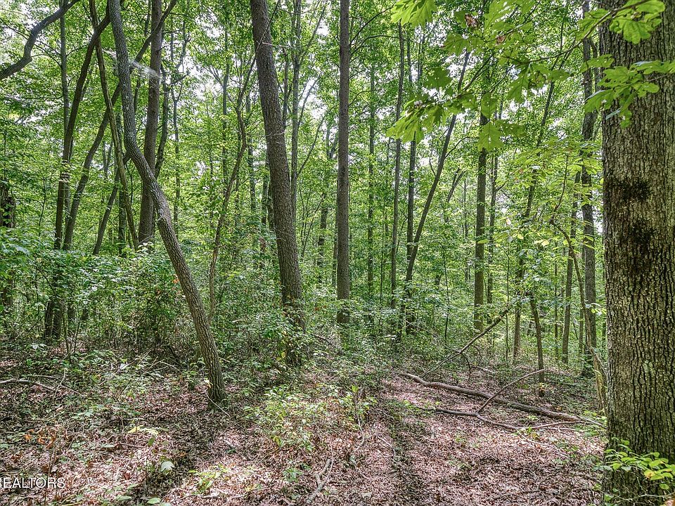 1st image of Creek Dr