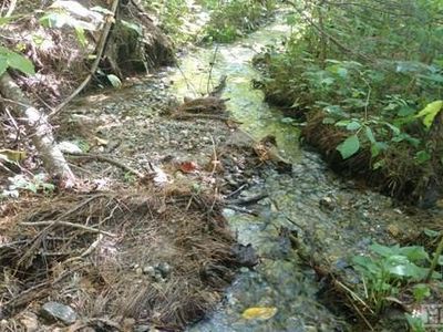 4 Shoal Creek Rd, Scaly Mountain, NC, 28775