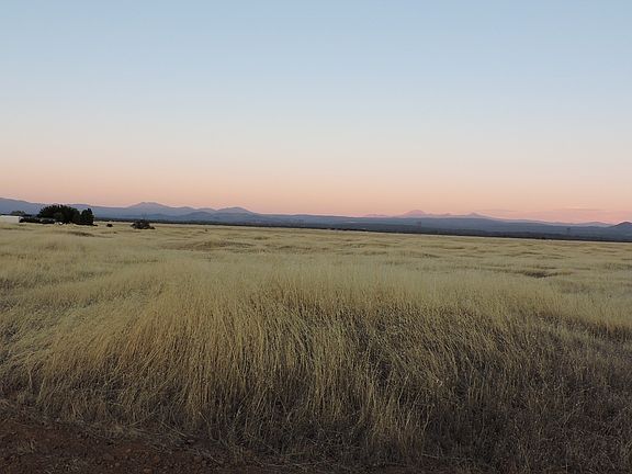 3rd image of 40 Acres Millville Plains Road