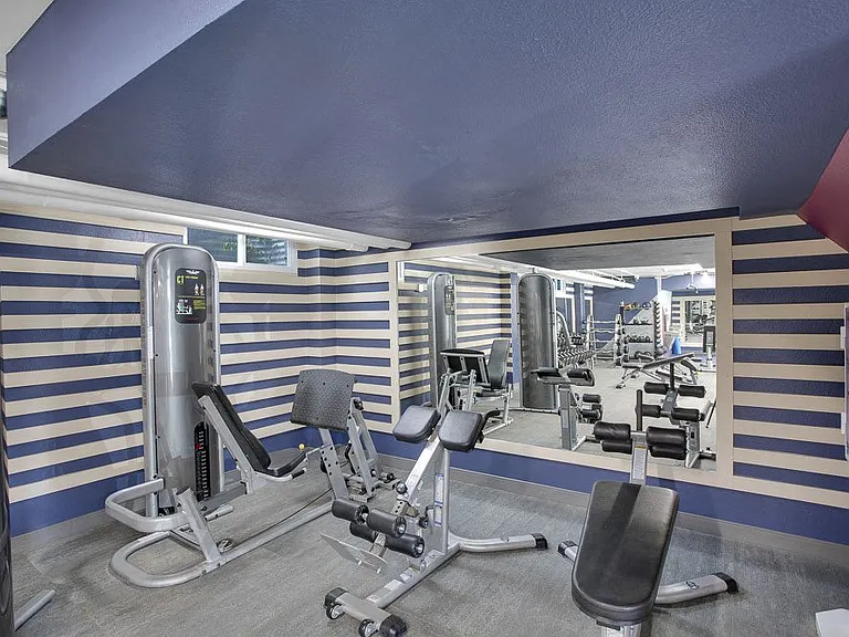Weightlifting equipment in the fitness center