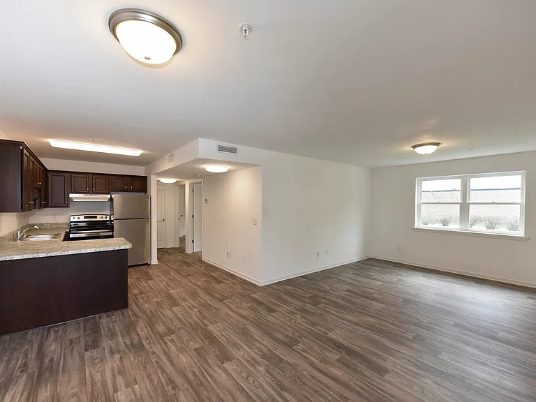 Hardwood Style Flooring