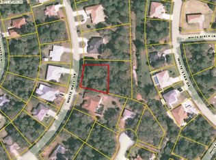 63 White Hall Dr, Palm Coast, FL 32164
