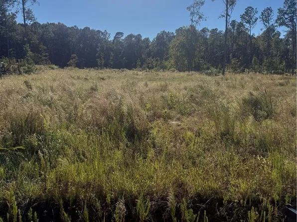 1291 Bill Hooks Rd, Whiteville, NC 28472