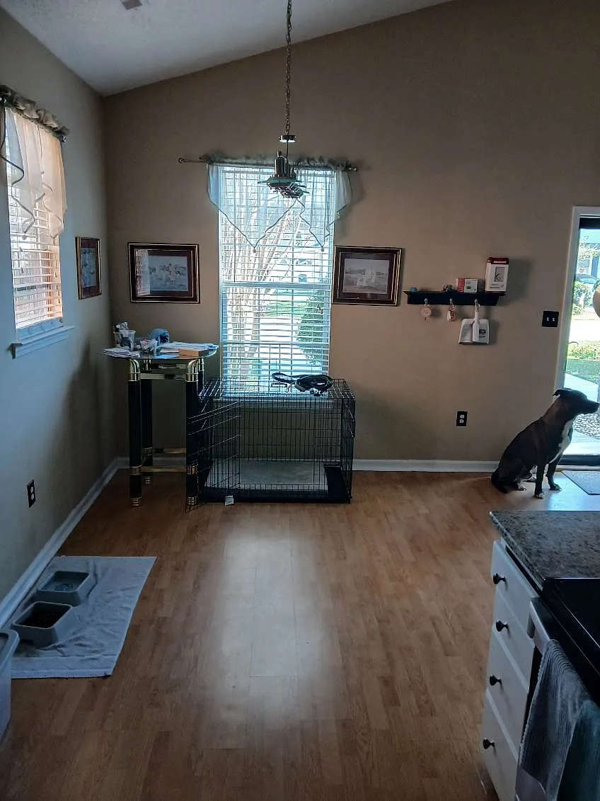 3 bed, 1215 sqft, $1,900 — Photo 2