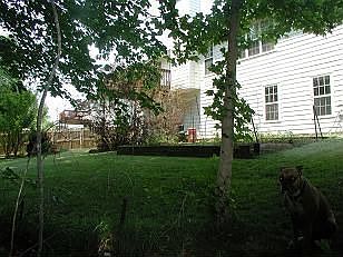 Backyard