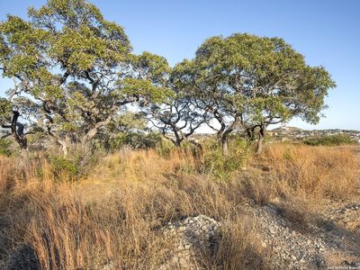 23304 Pepper Cyn LOT 46, San Antonio, TX, 78255