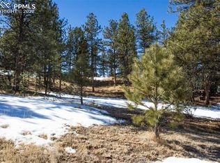 481 Crystal Peak Rd, Florissant, CO 80816
