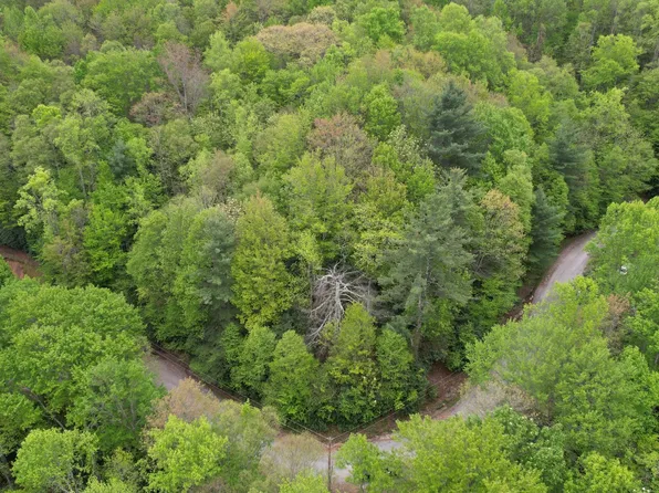 102 Laurel Ln, Beech Mountain, NC 28604