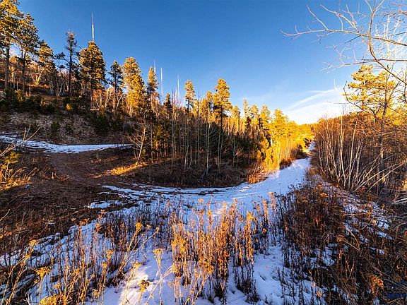 4th image of LOT 10 Wapiti Rd