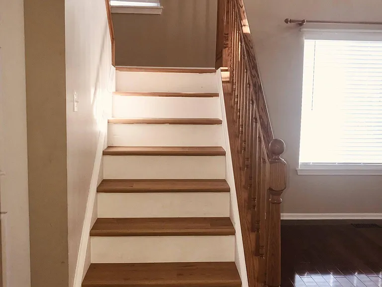2830 Cedar Glade Dr — Photo 5