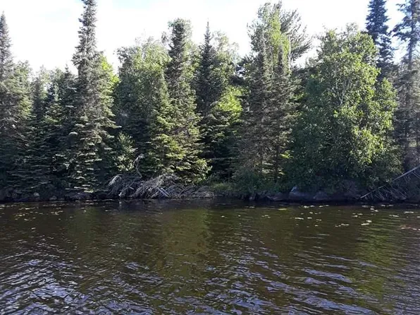 E Pelican Lake Rd, Orr, MN 55771