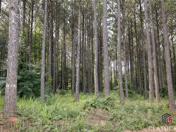 0 Waggoners Grove Church Road, Colbert, GA 30628