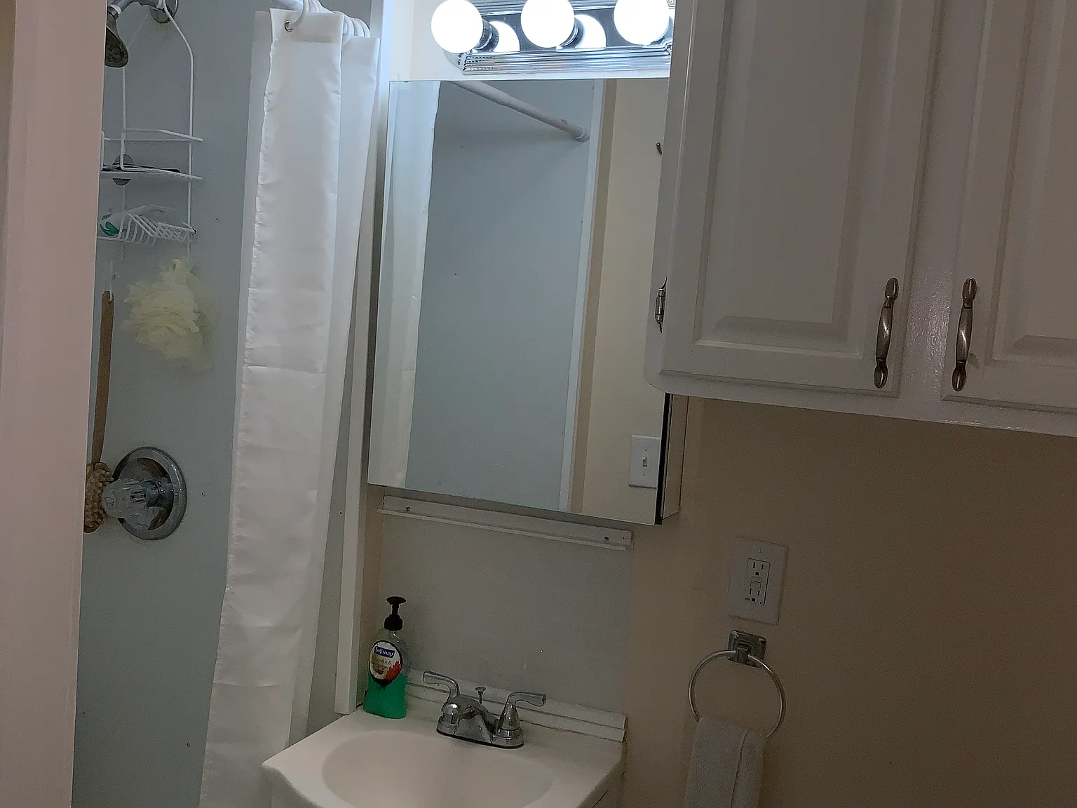 1 bed, 250 sqft, $1,200 — Photo 2