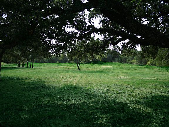 5th image of 2242-1 County Road 512
