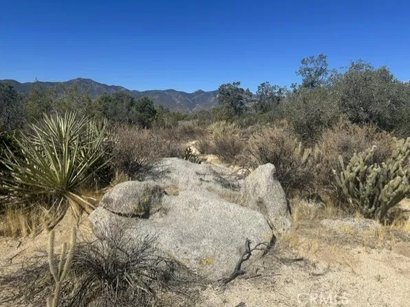 319 Alpine Dr Lot 319, Mountain Center, CA 92561