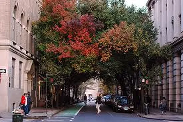 Rented by Mark David | media 29