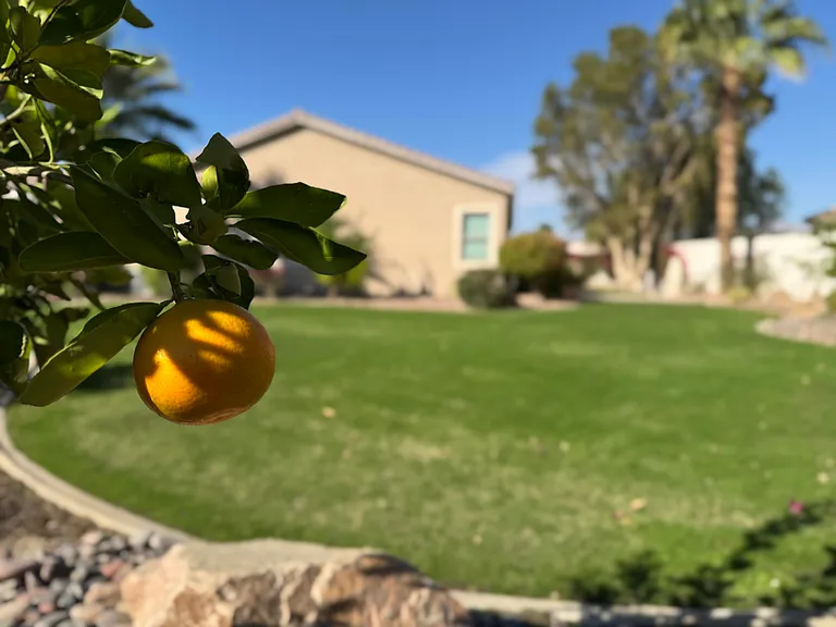 80372 Camino San Lucas #80372 — Photo 59