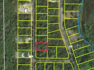 Malauka Pass Crse LOT 4, Ocklawaha, FL 32179