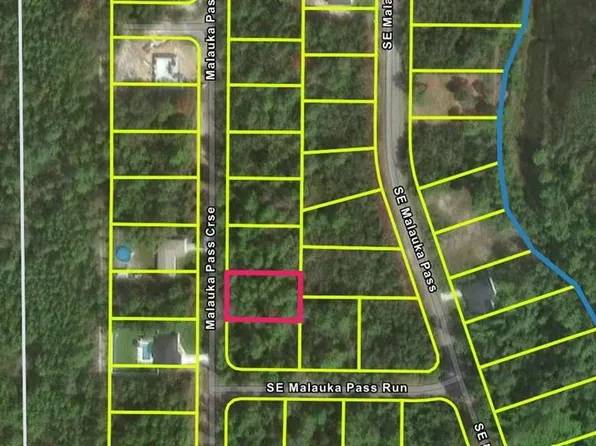 Malauka Pass Crse Lot 4, Ocklawaha, FL 32179