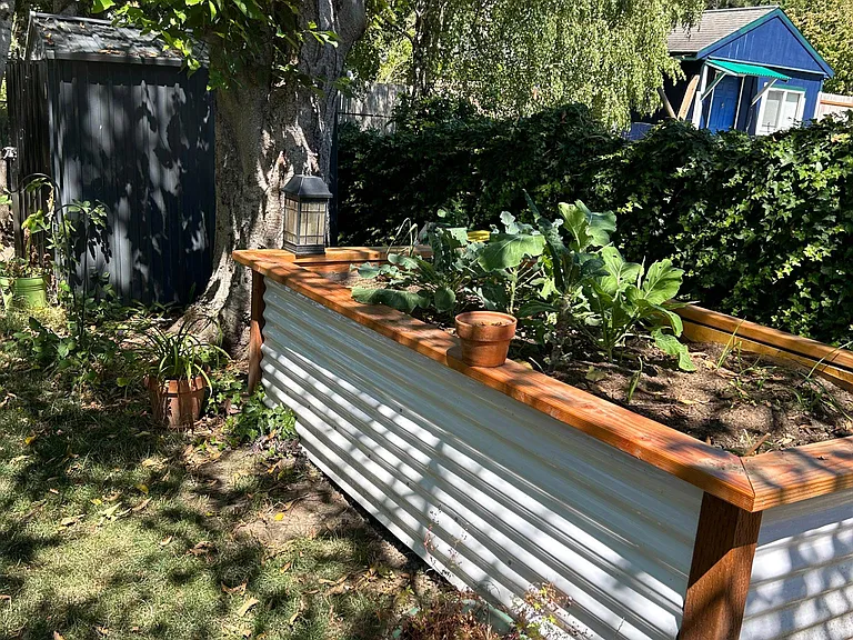 Veggie garden