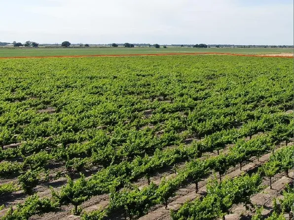 52100 Clarksburg Rd, Clarksburg, CA 95612