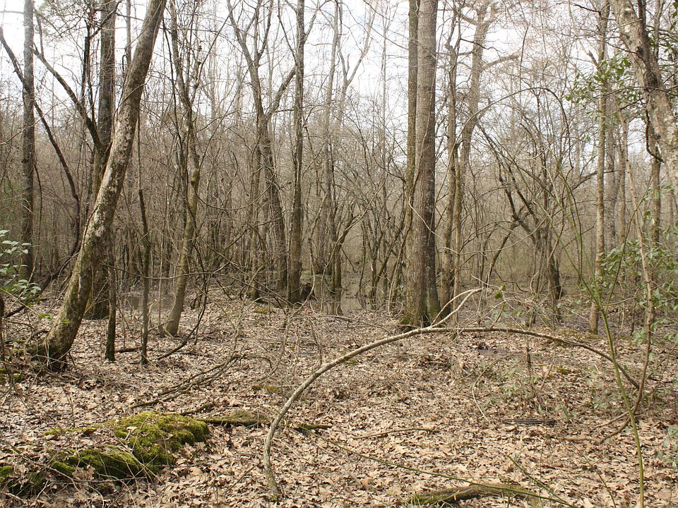 1st image of Highway 82 Lot Wp001