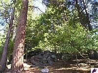 1st image of 38519 Highcountry Ln
