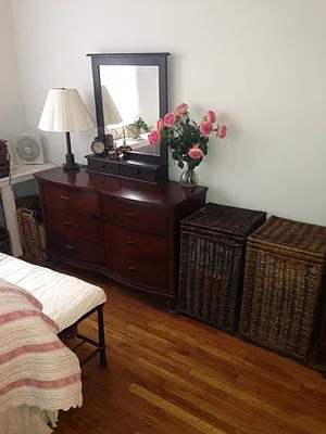 Rented by Eric Goodman Realty Corp | media 15