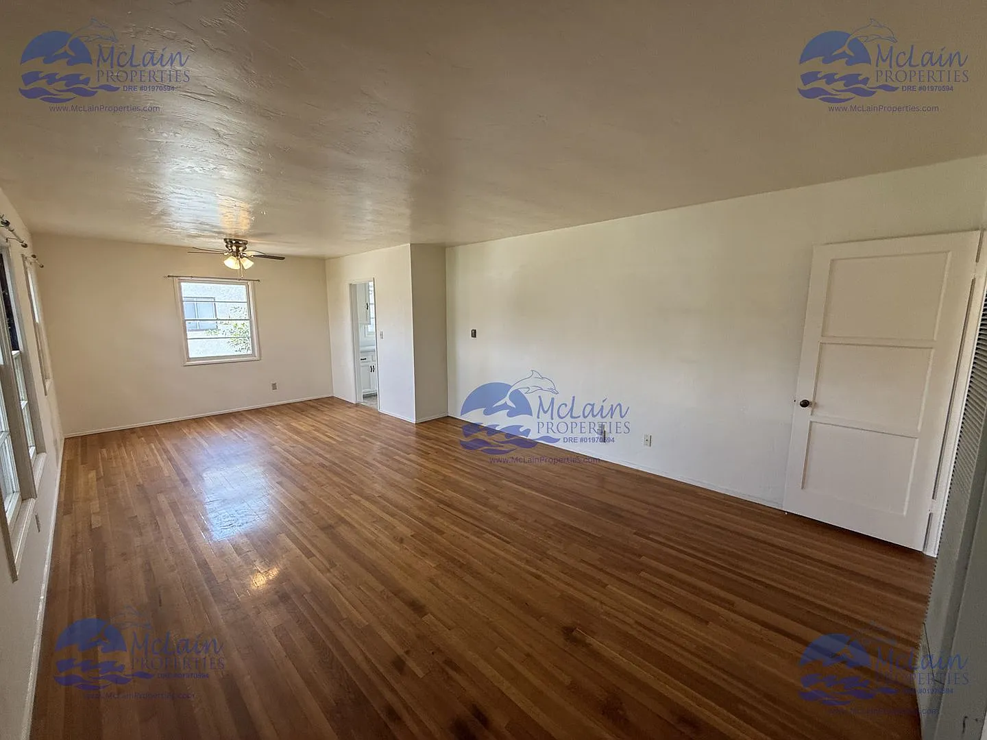 3 bedroom Single Story Home in Belleview Heights — Photo 4