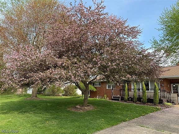 3rd image of 239 Fairview St