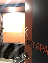 Rented by Yaffa Realty LLC