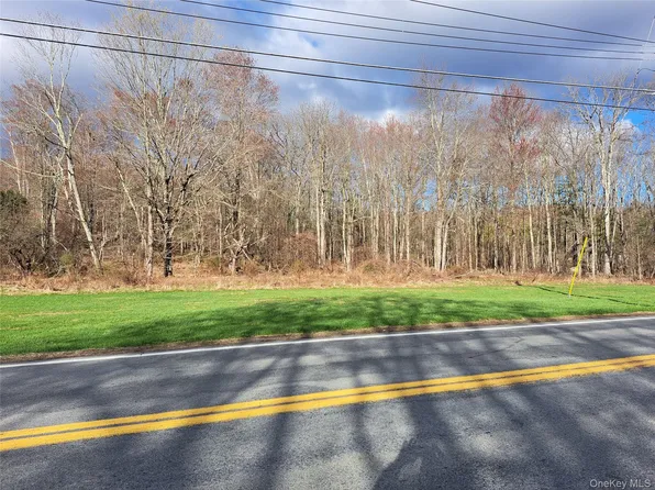 Van Burenville Road, Middletown, NY 10940