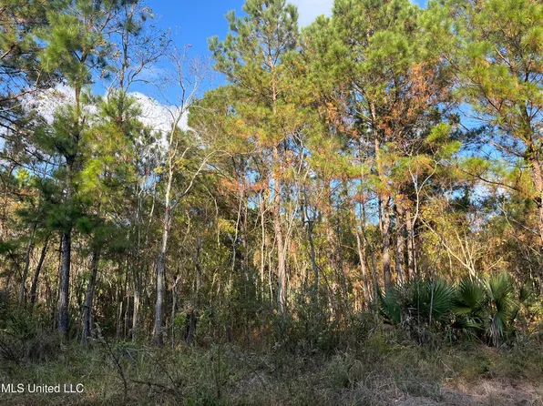 Marigold St, Bay Saint Louis, MS 39520