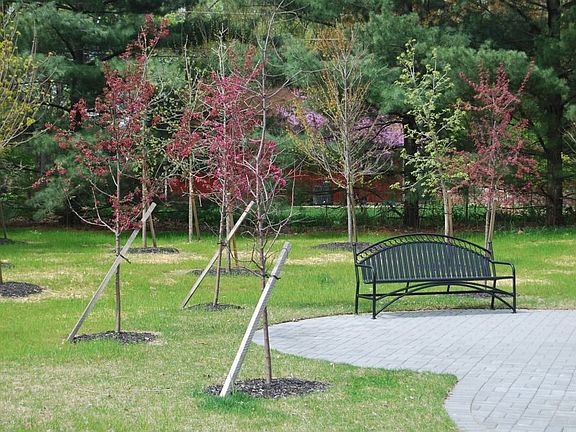 Park like setting - no maintenance