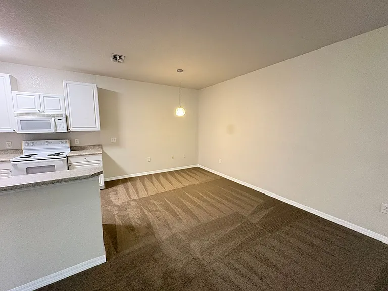 1004 Hemingway Cir — Photo 10