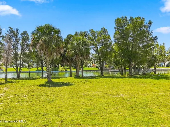 3167 Hibiscus Dr, Hernando Beach, FL 34607