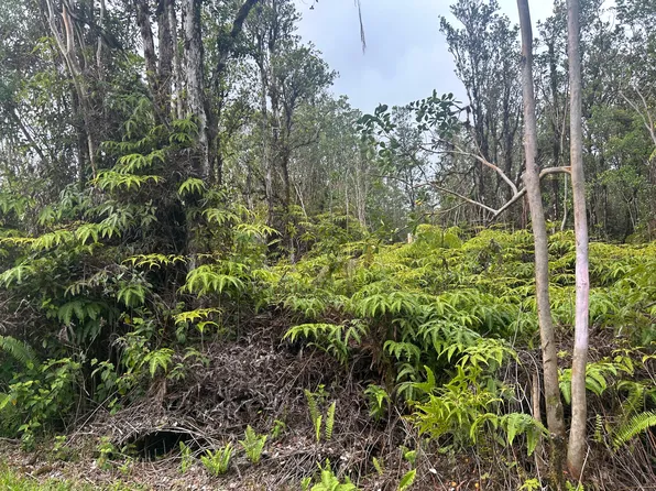 Hibiscus St Lot 7428, Mountain View, HI 96771