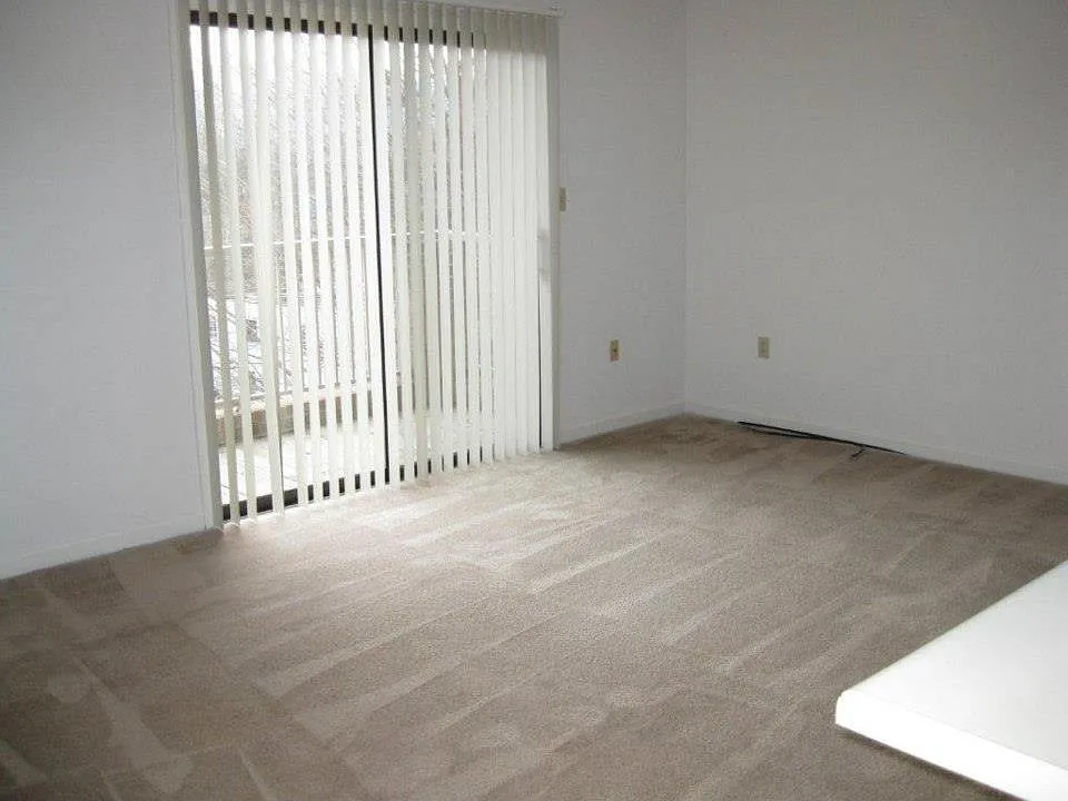 2 bed, 1.5 bath, 920 sqft, $1,250 — Photo 4