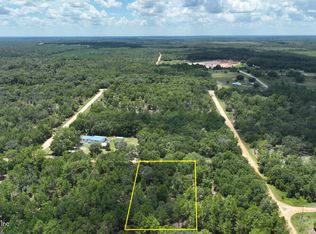 104 BEULAH Drive, Hawthorne, FL 32640