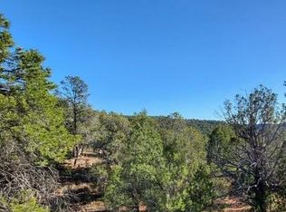 11 N Moonshine Rd, Seligman, AZ 86337
