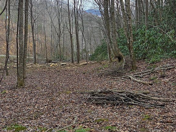 3rd image of 0 Laurel Branch Rd