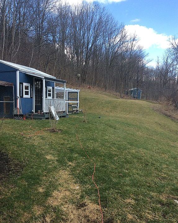 Shed / Kennel & Coop